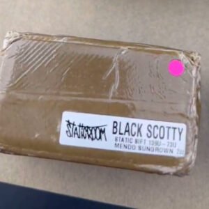 Black Scotty