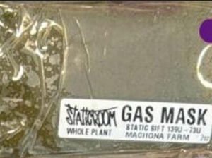 Gas Mask